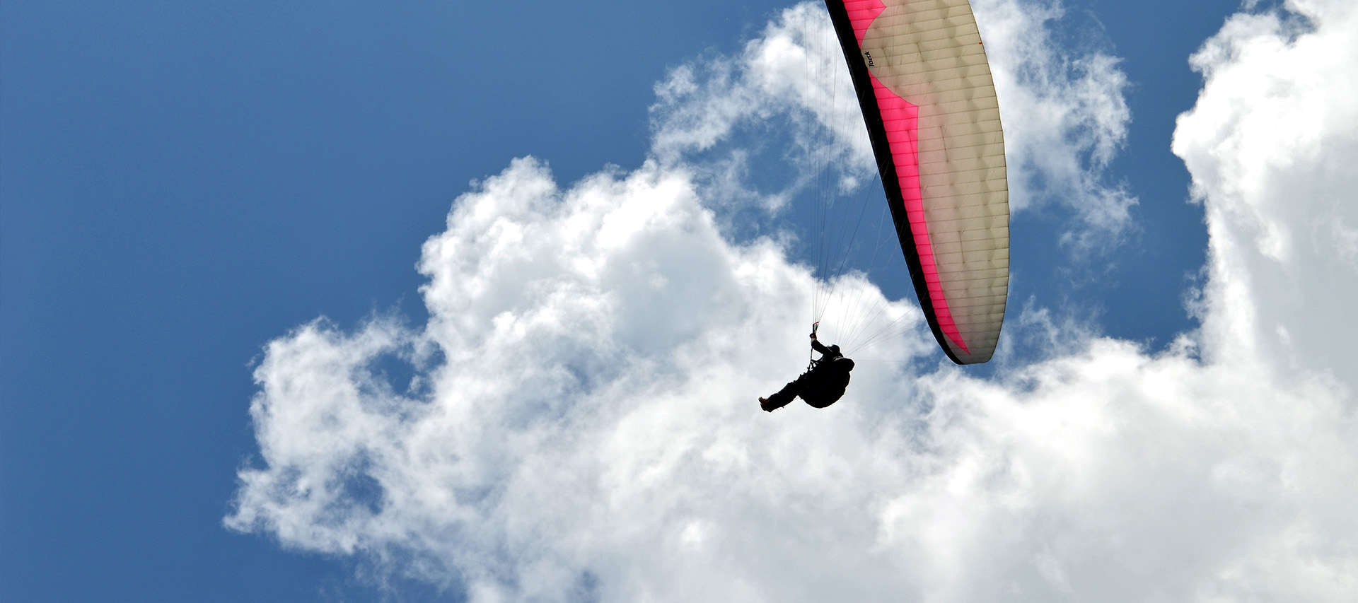 Multipl Skleroz Hakkında